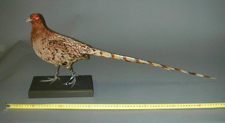 41008149.jpg 41008149.jpg
