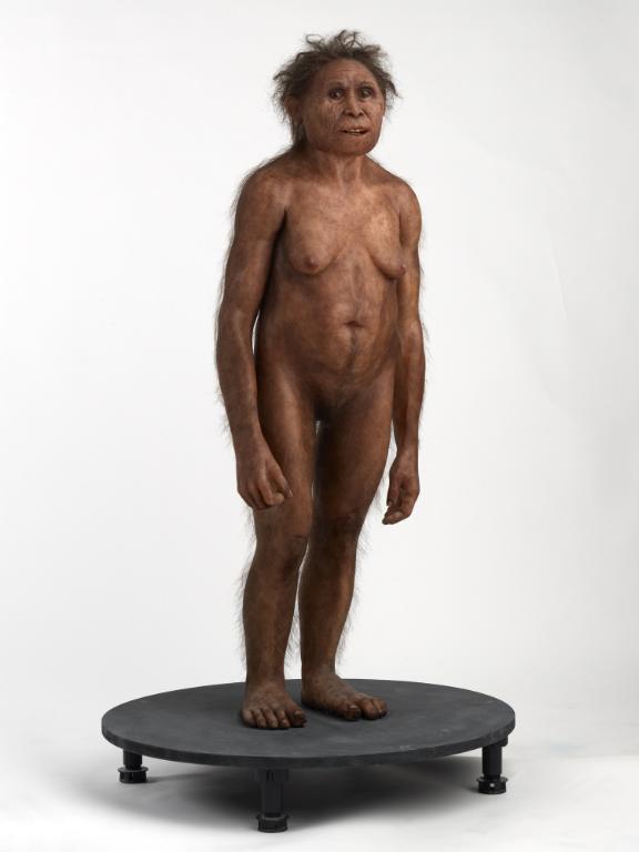 MUSEO001_01.jpg MUSEO001_01.jpg