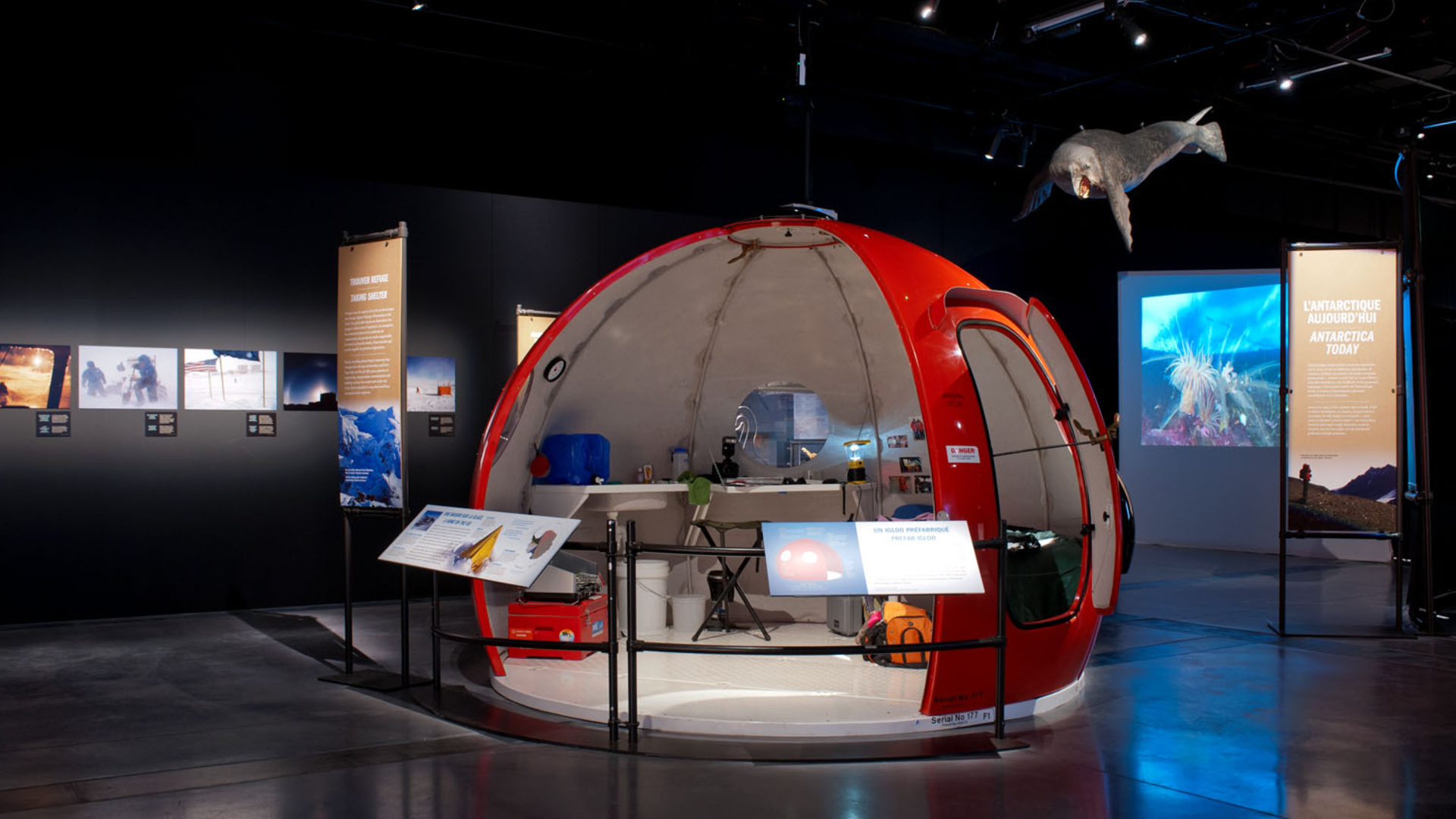 Exposition À la conquête du pôle Sud