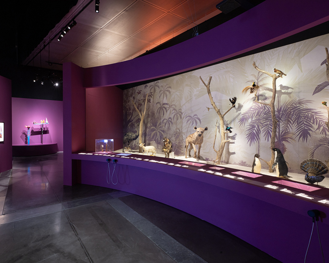Exposition À nos amours