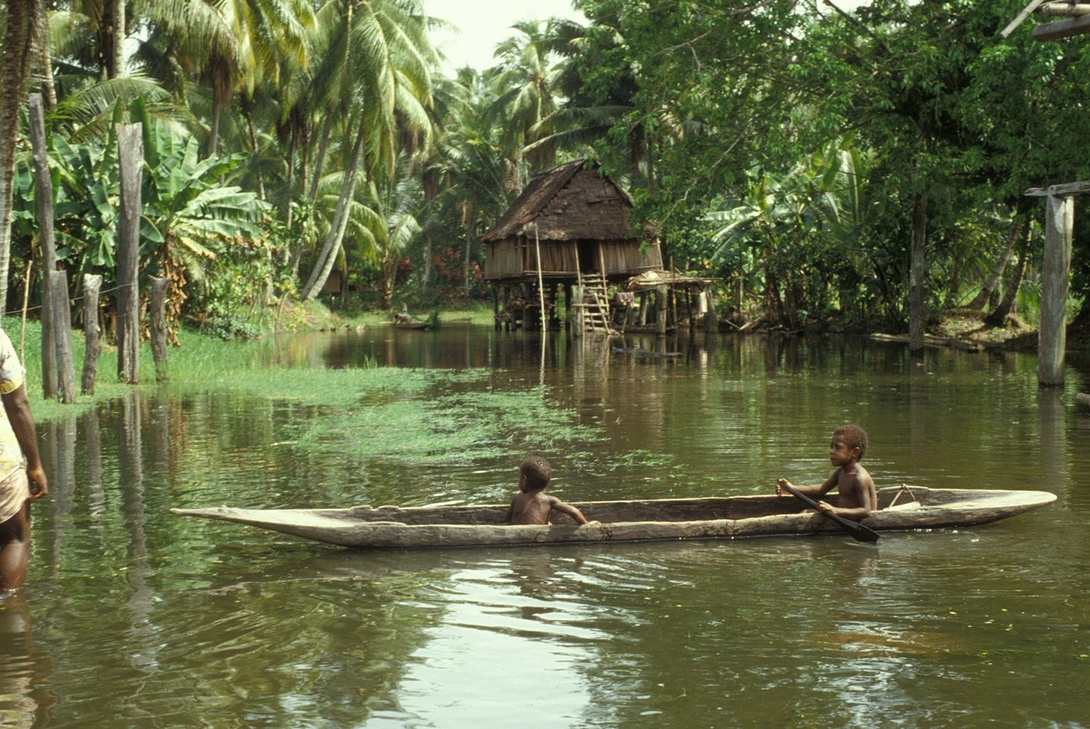 Fleuve Sepik